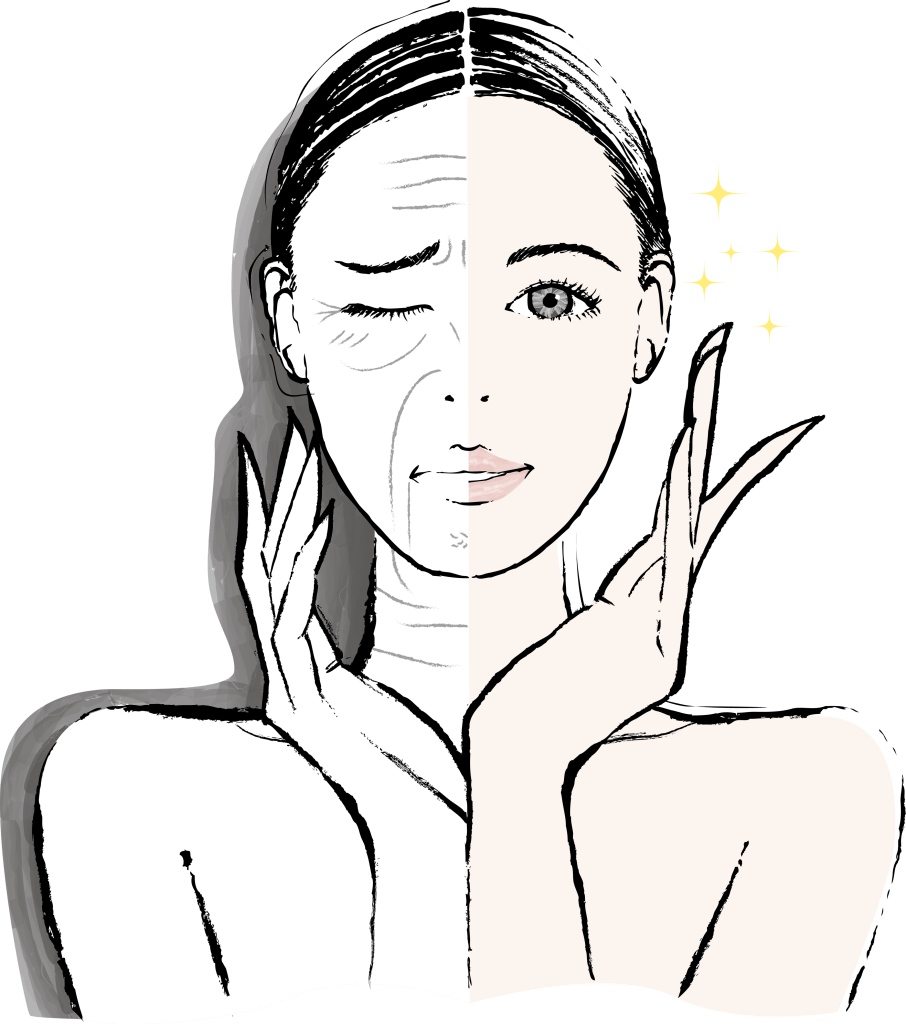 左右で異なる表情をした女性のイラスト。左側は老けた印象でしわやくすんだ肌を描写し、右側は若々しく輝く肌を持つ。