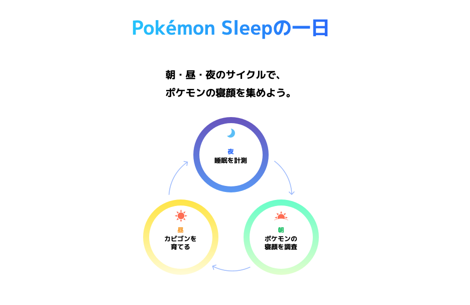 Pokémon Sleepの一日を示す図。朝・昼・夜のサイクルでポケモンの睡眠を計測し、育てる様子を表したイラスト。